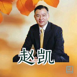 赵凯